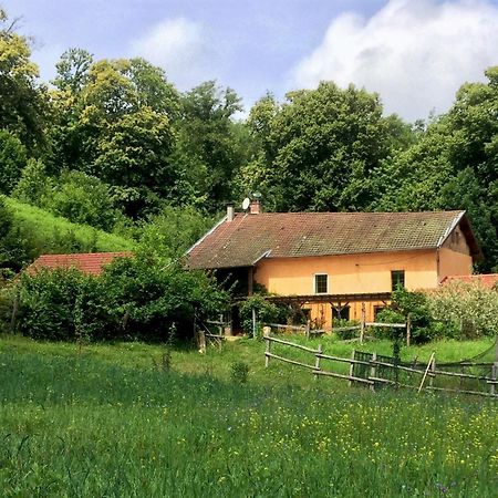 Le Mas De Planaise Saint-Jean-d'Avelanne Zewnętrze zdjęcie
