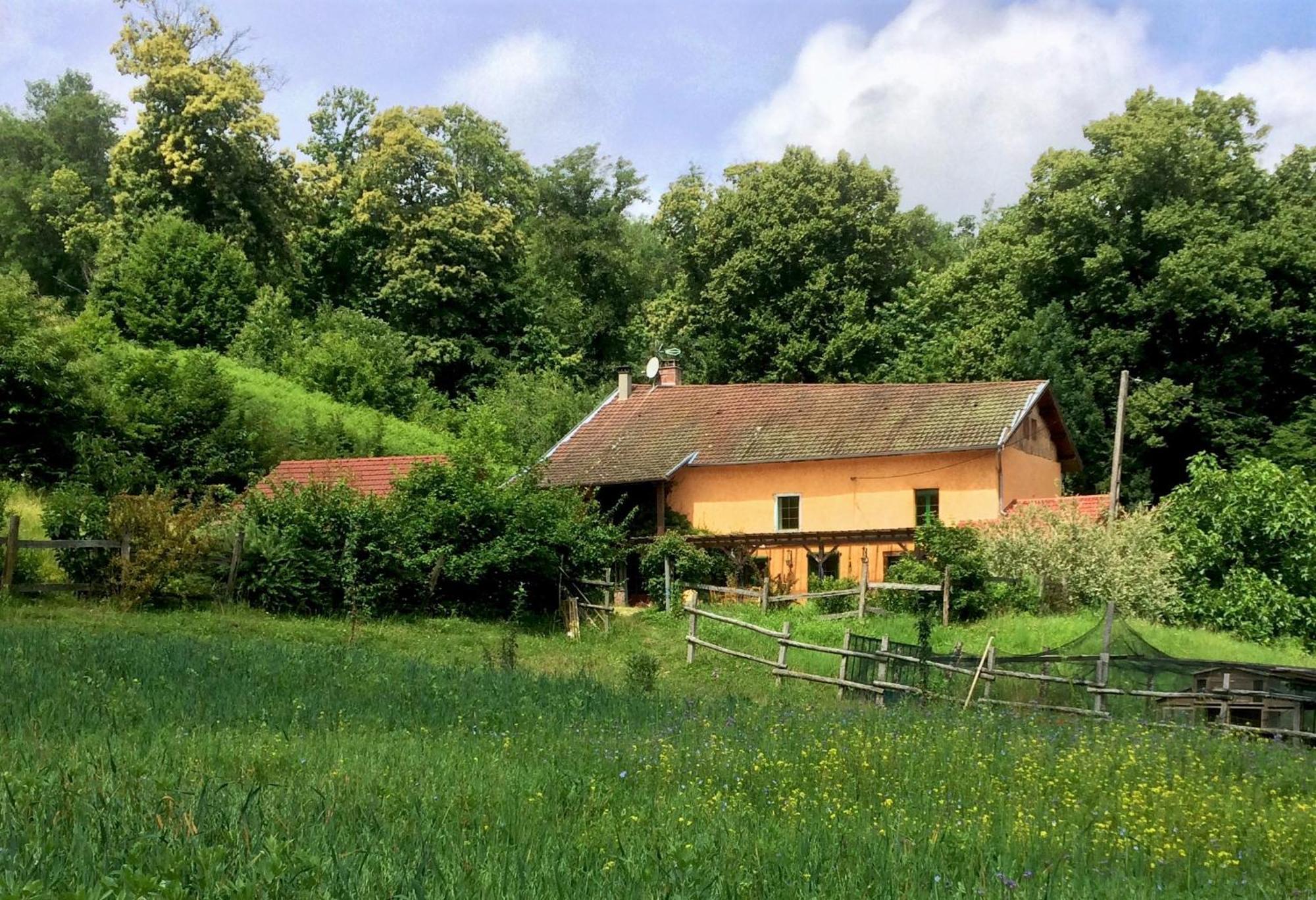 Le Mas De Planaise Saint-Jean-d'Avelanne Zewnętrze zdjęcie